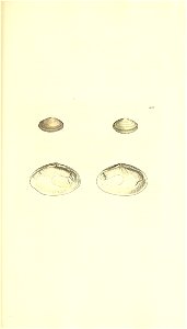 n356_w1150