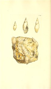 n137_w1150