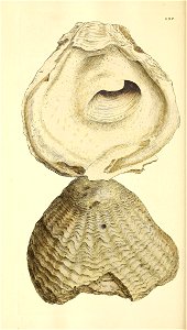 n143_w1150