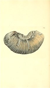 n279_w1150