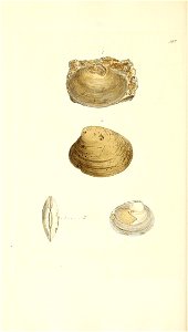 n273_w1150