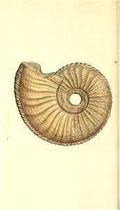n395_w1150