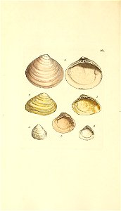 n269_w1150