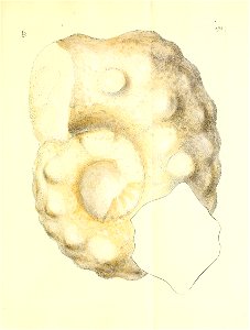 n330_w1150