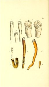 n463_w1150