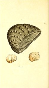 n399_w1150