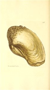 n199_w1150