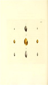 n205_w1150