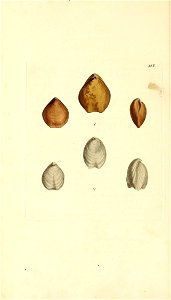 n153_w1150