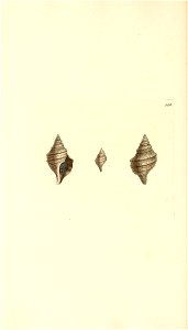 n345_w1150