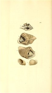 n257_w1150