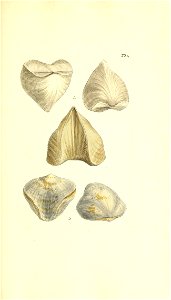 n68_w1150