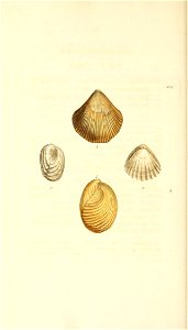 n371_w1150