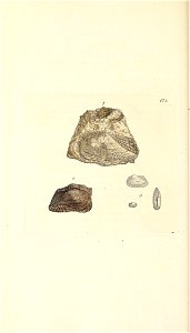 n259_w1150