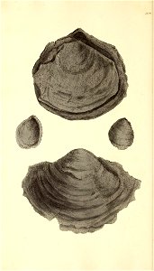 n231_w1150