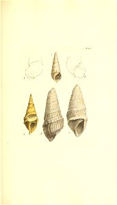 n118_w1150
