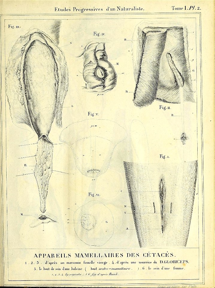 n218_w1150