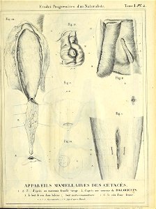n218_w1150