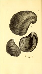 n191_w1150