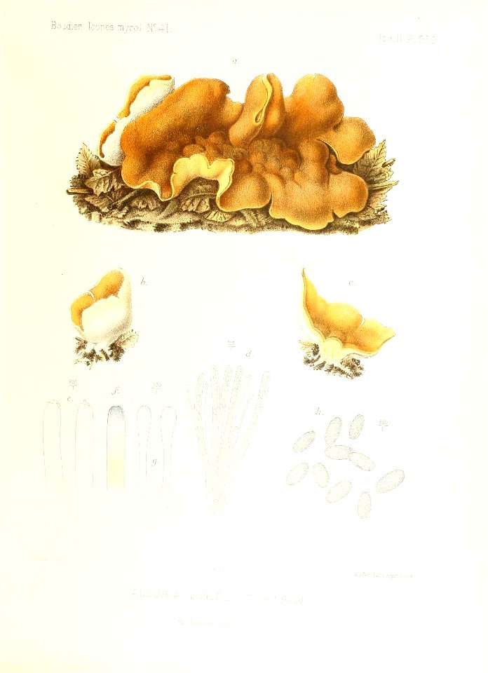 n194_w1150