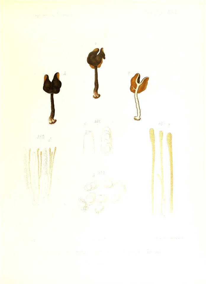 n104_w1150