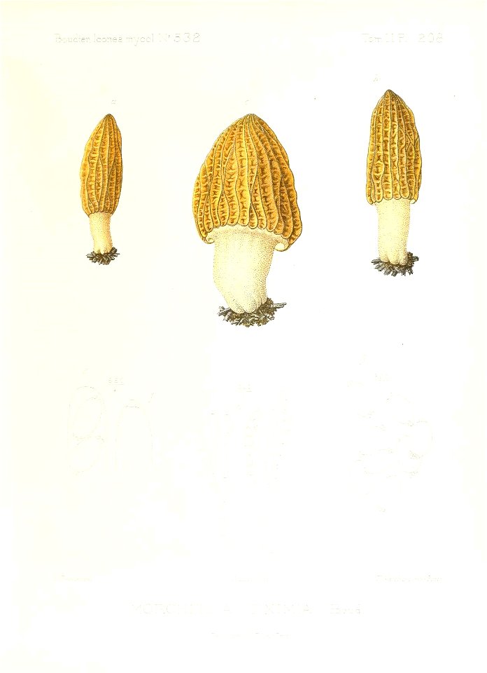 n44_w1150