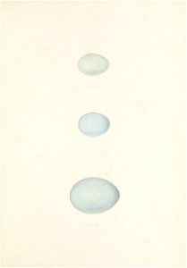 n188_w1150
