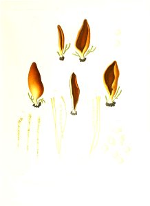 n130_w1150