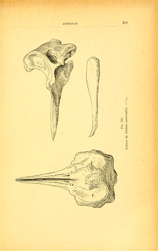 n448_w1150