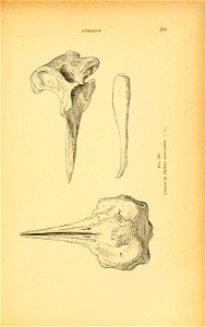 n448_w1150