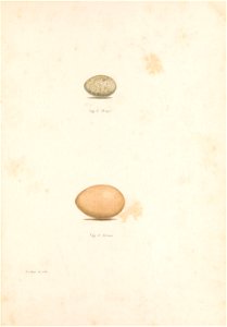 n184_w1150