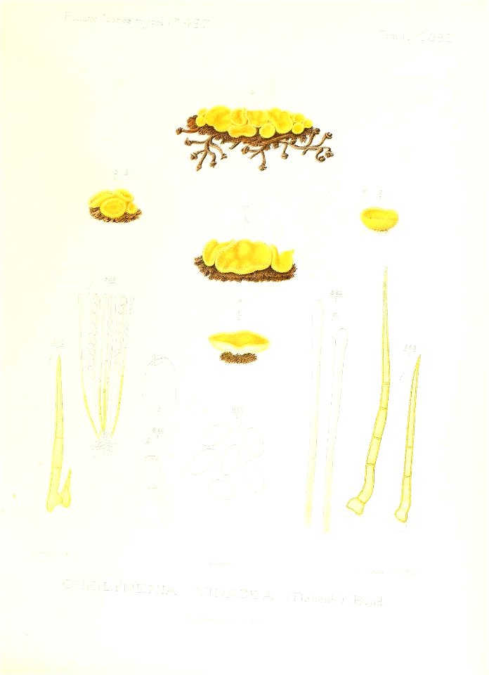 n398_w1150