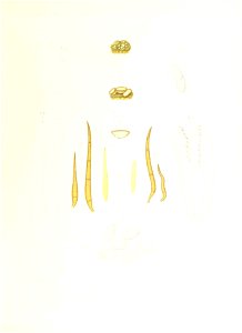 n368_w1150