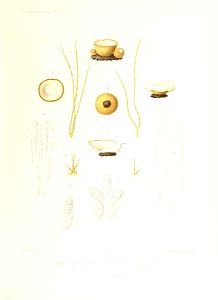 n338_w1150