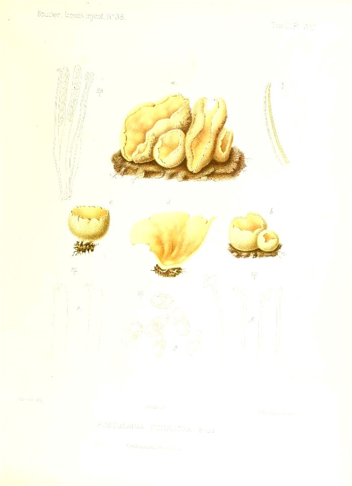 n308_w1150
