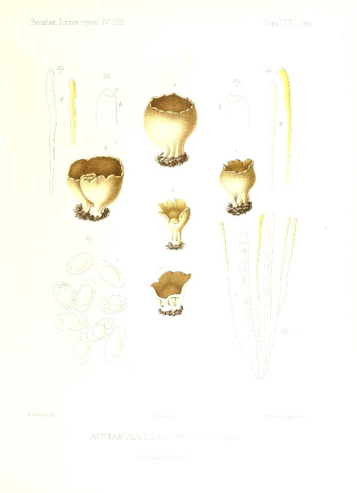 n128_w1150