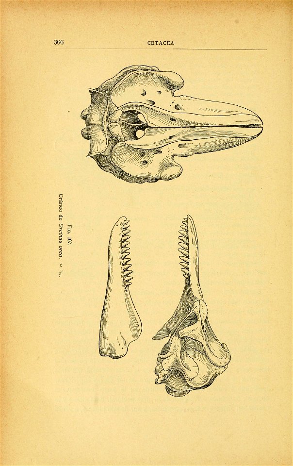 n435_w1150