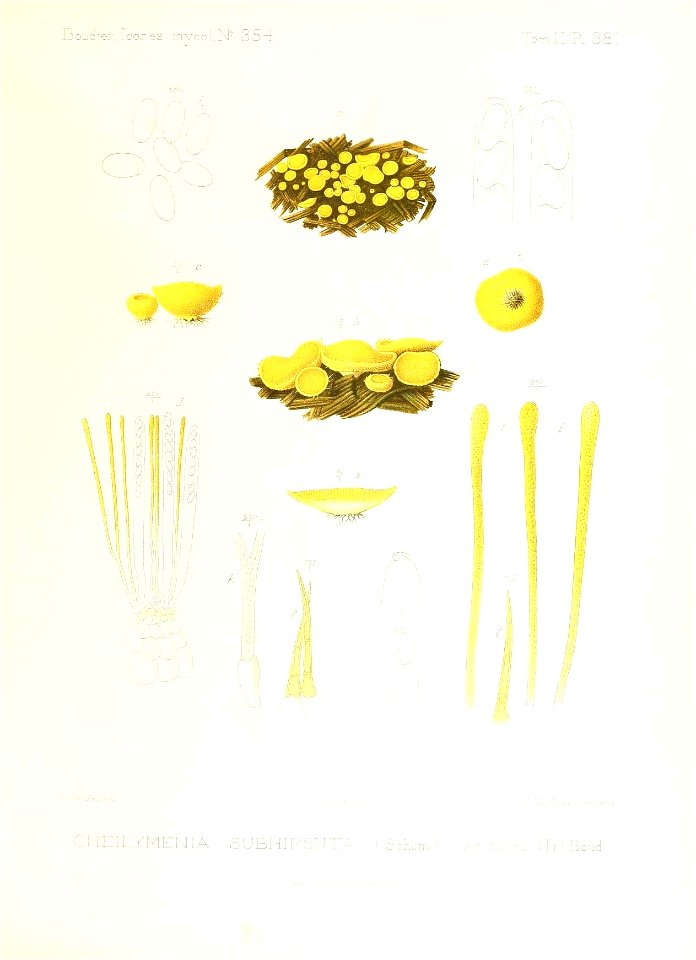 n396_w1150