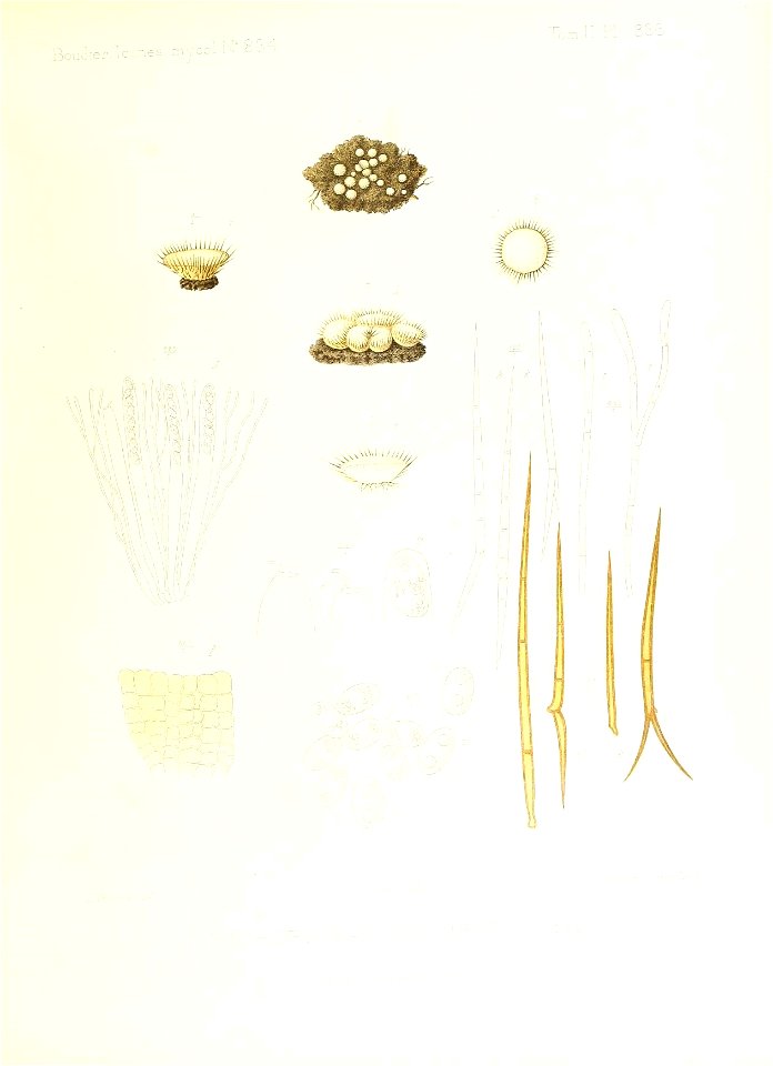 n366_w1150