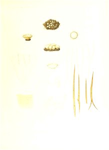 n366_w1150