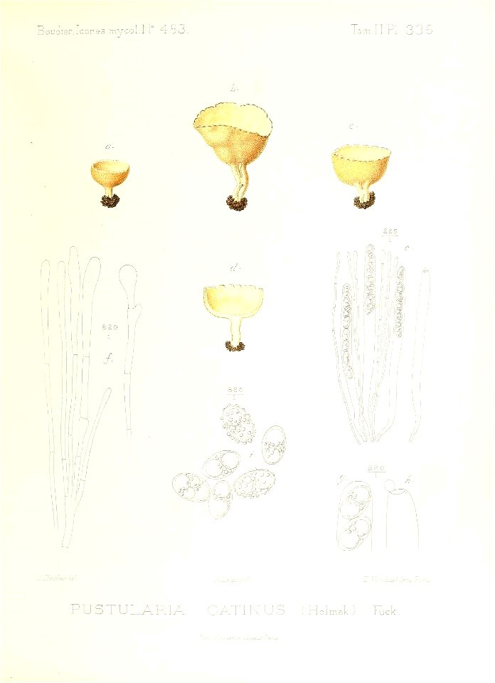 n306_w1150