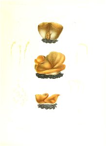 n216_w1150