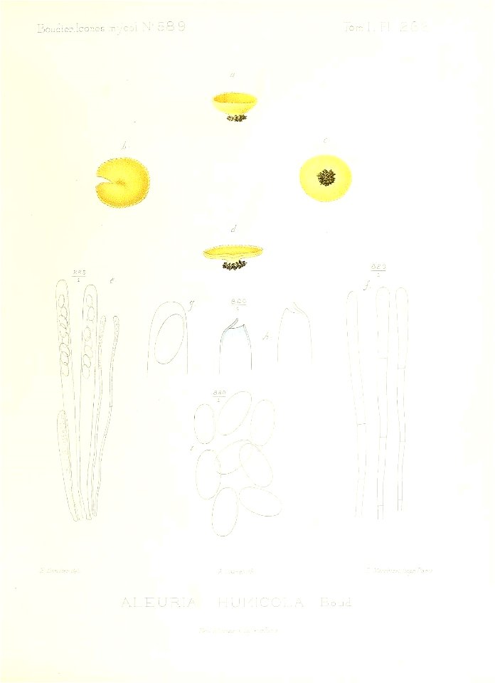 n156_w1150