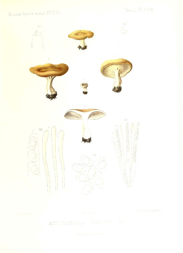 n126_w1150