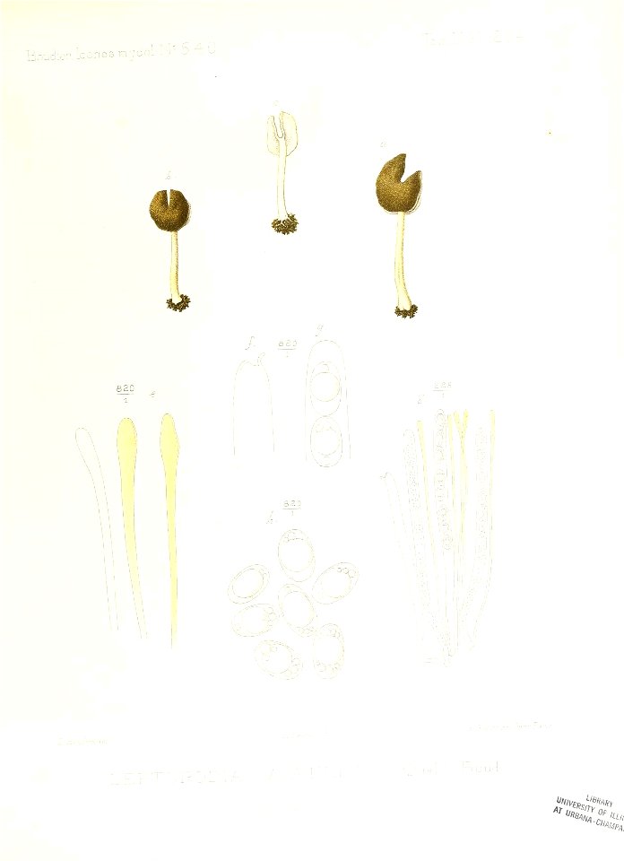 n96_w1150