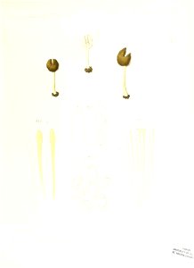 n96_w1150