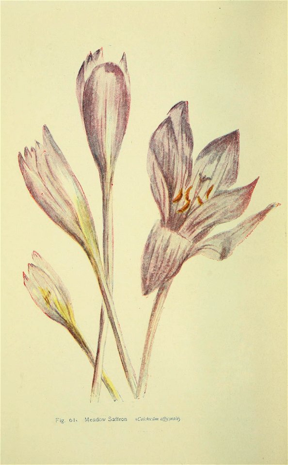 n671_w1150