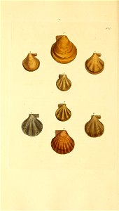 n169_w1150