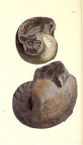 n289_w1150