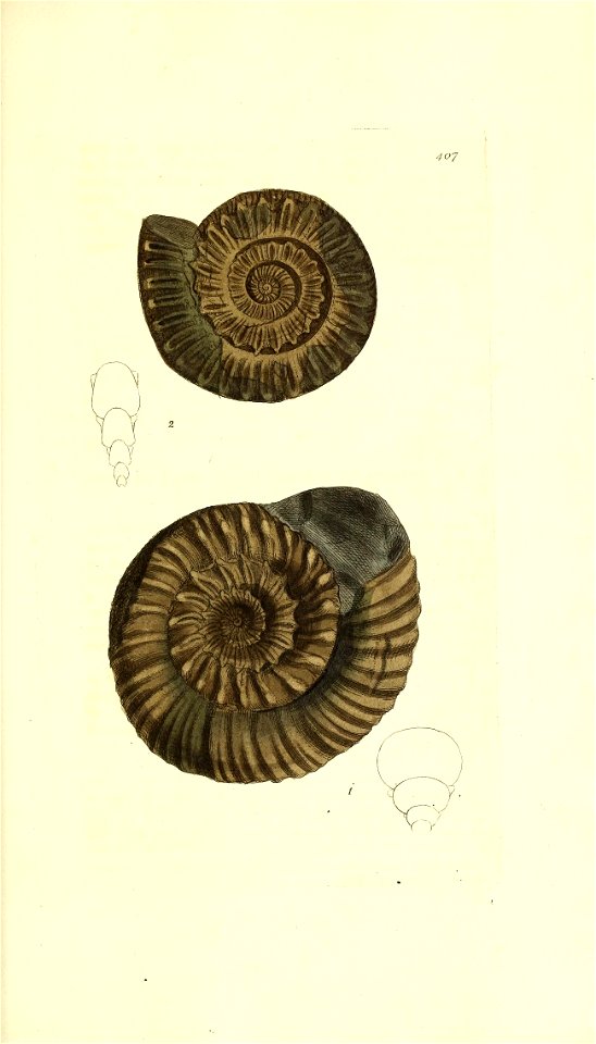 n364_w1150